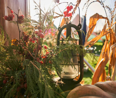 Transform Your Outdoor Space: Garden Décor Tips